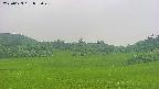 area3-20250623053049.jpg
