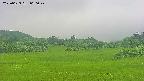 area3-20250623060048.jpg