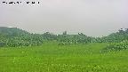 area3-20250623061051.jpg