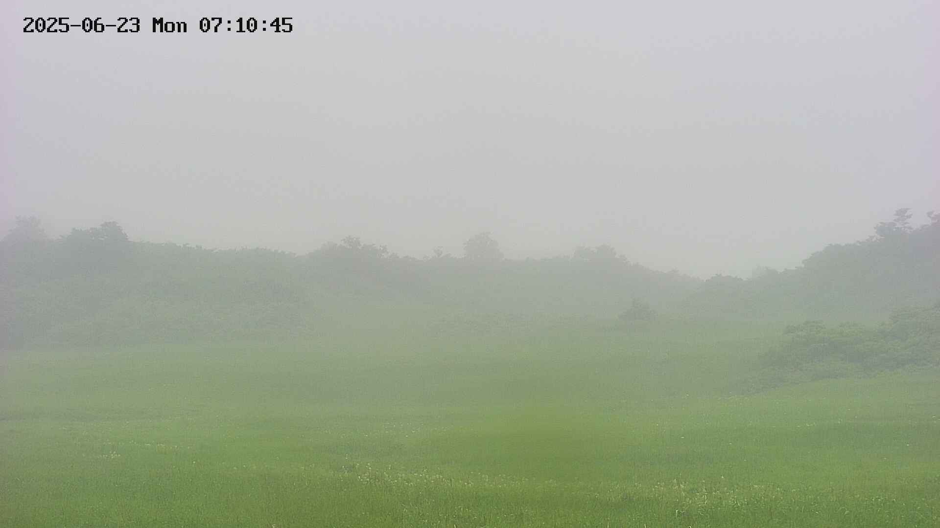 area3-20250623071046.jpg
