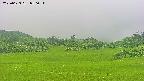 area3-20250623080055.jpg
