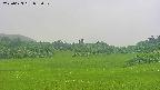 area3-20250623083050.jpg