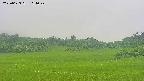 area3-20250623114047.jpg