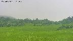 area3-20250623115050.jpg