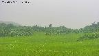 area3-20250623120047.jpg