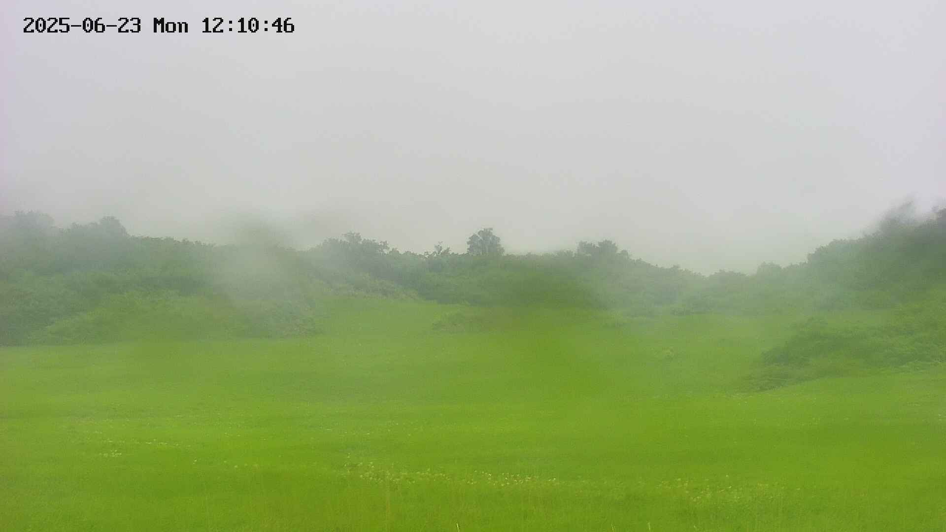 area3-20250623121047.jpg