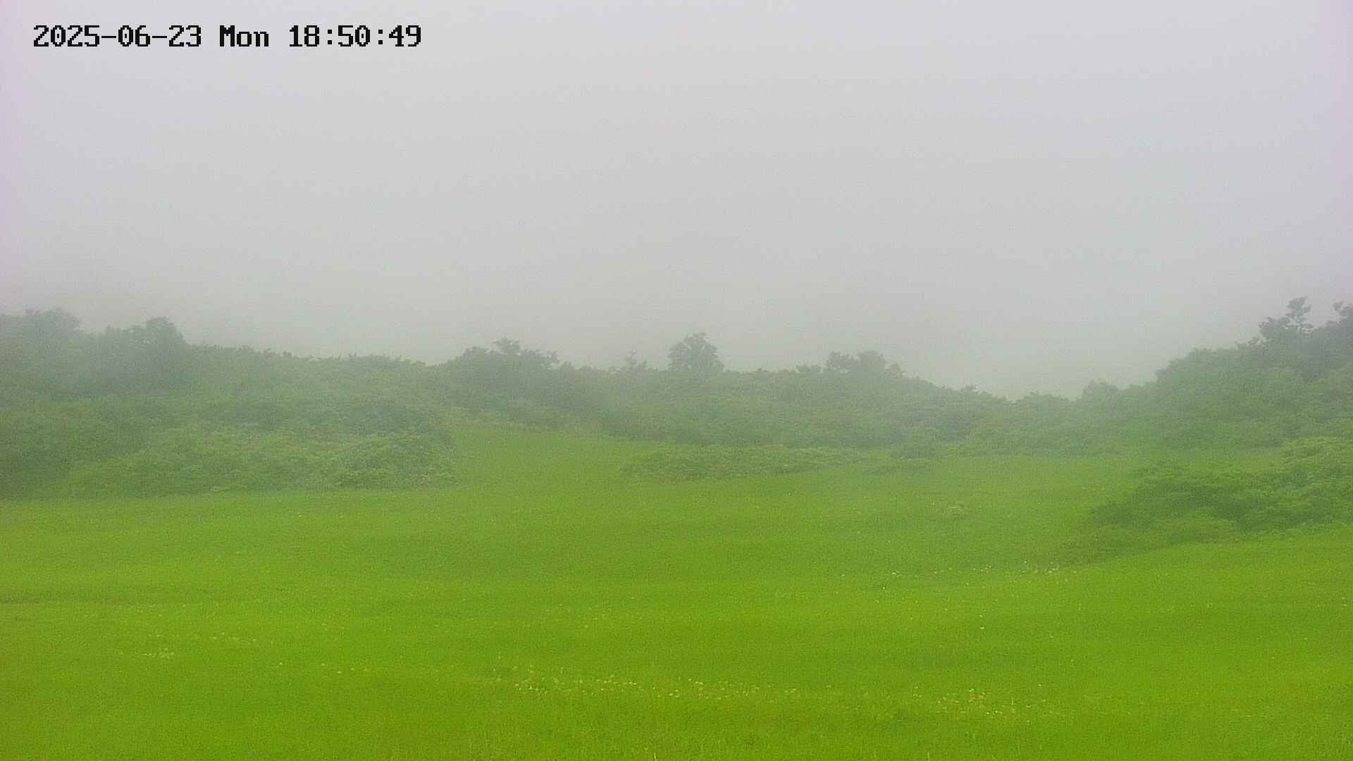area3-20250623185050.jpg