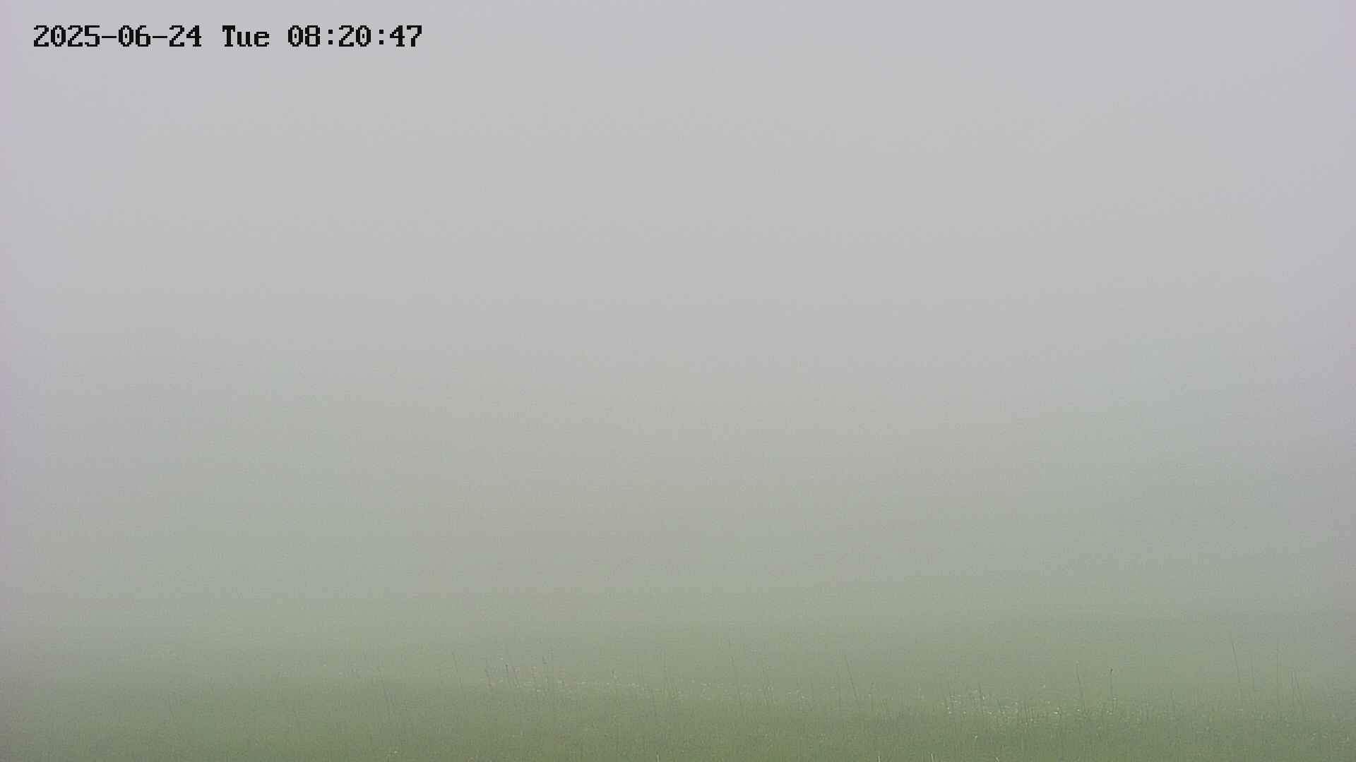 area3-20250624082047.jpg