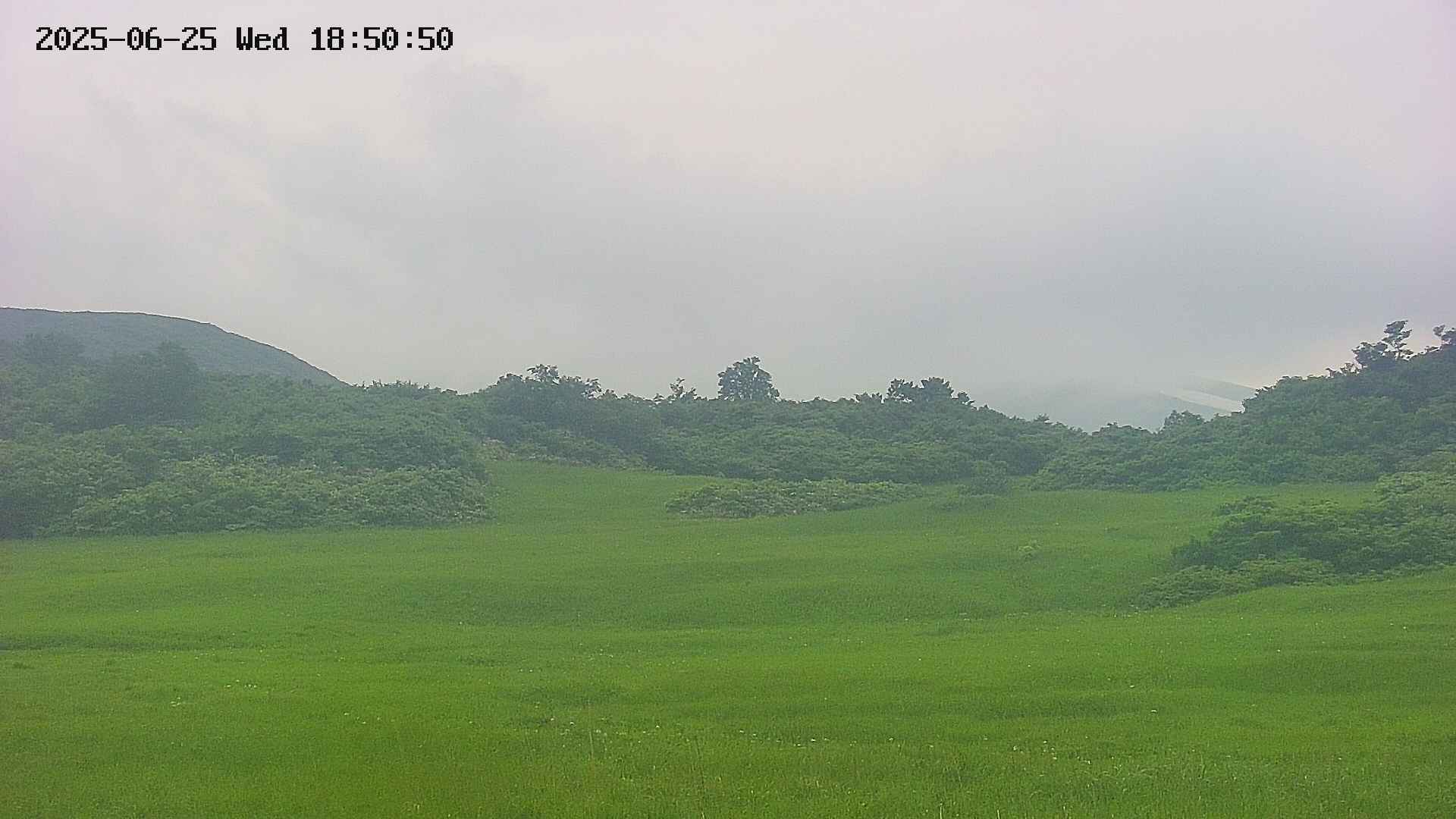 area3-20250625185051.jpg