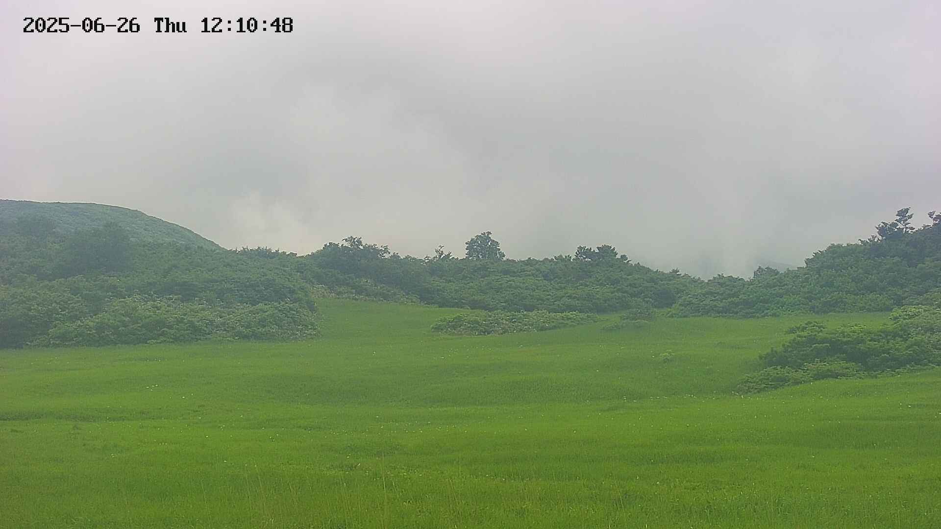 area3-20250626121051.jpg