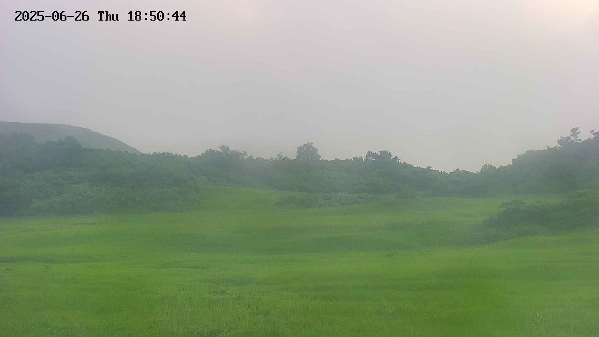 area3-20250626185050.jpg