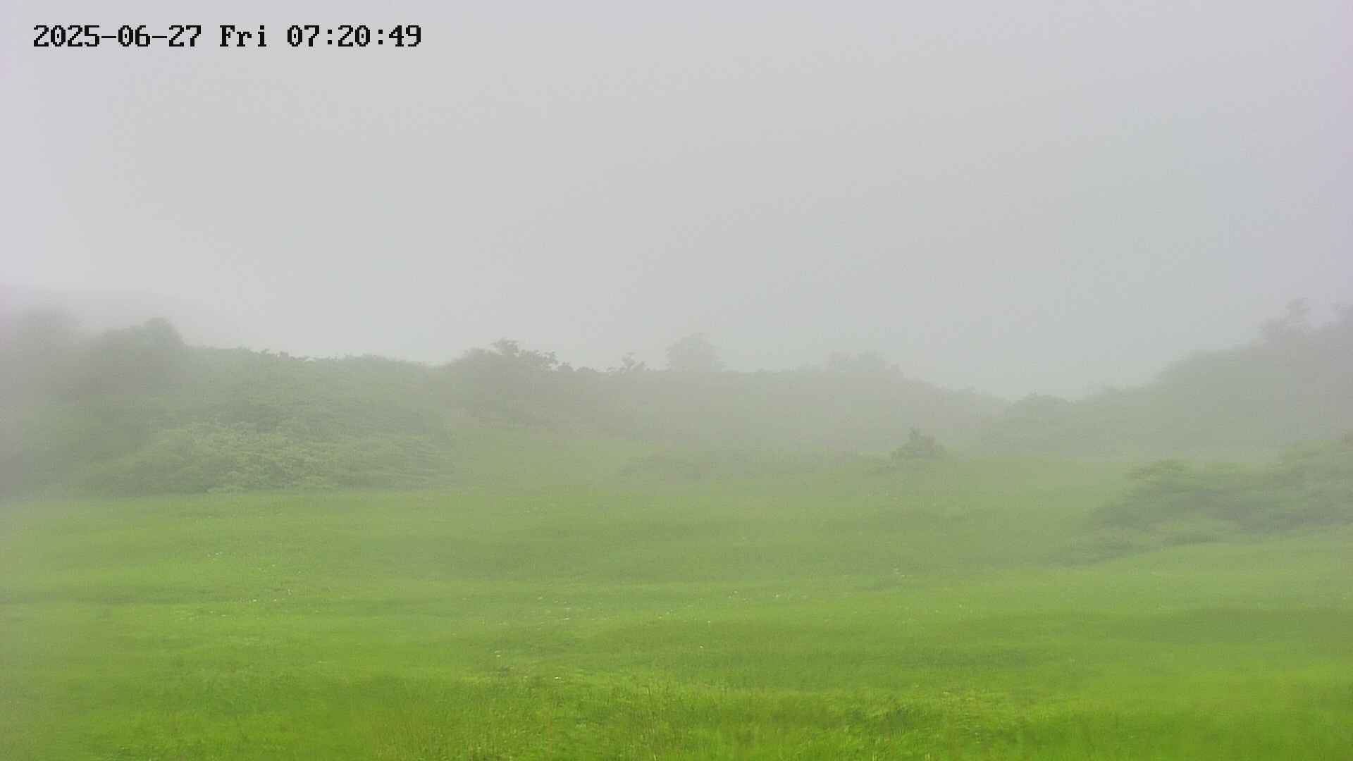 area3-20250627072050.jpg
