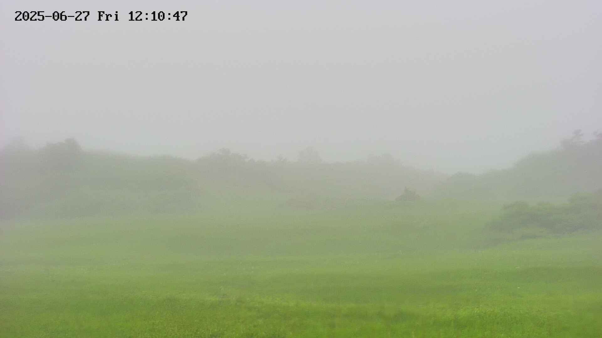 area3-20250627121048.jpg