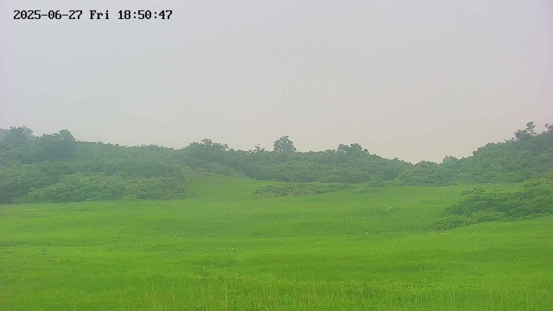 area3-20250627185048.jpg