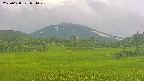 area3-20250628051049.jpg
