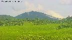 area3-20250628054053.jpg