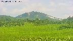area3-20250628055049.jpg