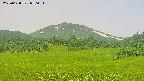 area3-20250628070054.jpg