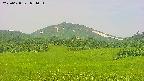 area3-20250628071052.jpg