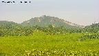 area3-20250629051055.jpg
