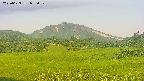 area3-20250629052051.jpg