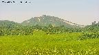 area3-20250629055051.jpg