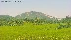 area3-20250629061050.jpg