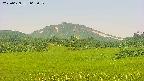 area3-20250629062052.jpg