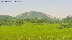 area3-20250629063054.jpg