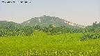 area3-20250629064053.jpg