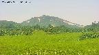 area3-20250629065052.jpg