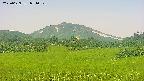 area3-20250629071052.jpg