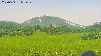 area3-20250629072052.jpg