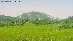 area3-20250629073054.jpg