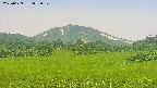 area3-20250629075059.jpg