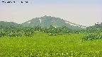 area3-20250629080100.jpg