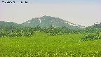 area3-20250629081100.jpg