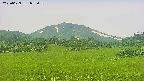 area3-20250629082102.jpg