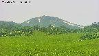 area3-20250629084054.jpg