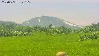 area3-20250629120105.jpg