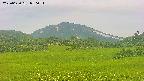 area3-20250630050052.jpg