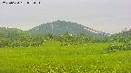 area3-20250630052052.jpg
