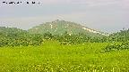 area3-20250630054051.jpg