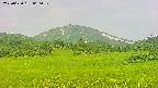 area3-20250630060052.jpg