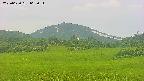 area3-20250630062053.jpg