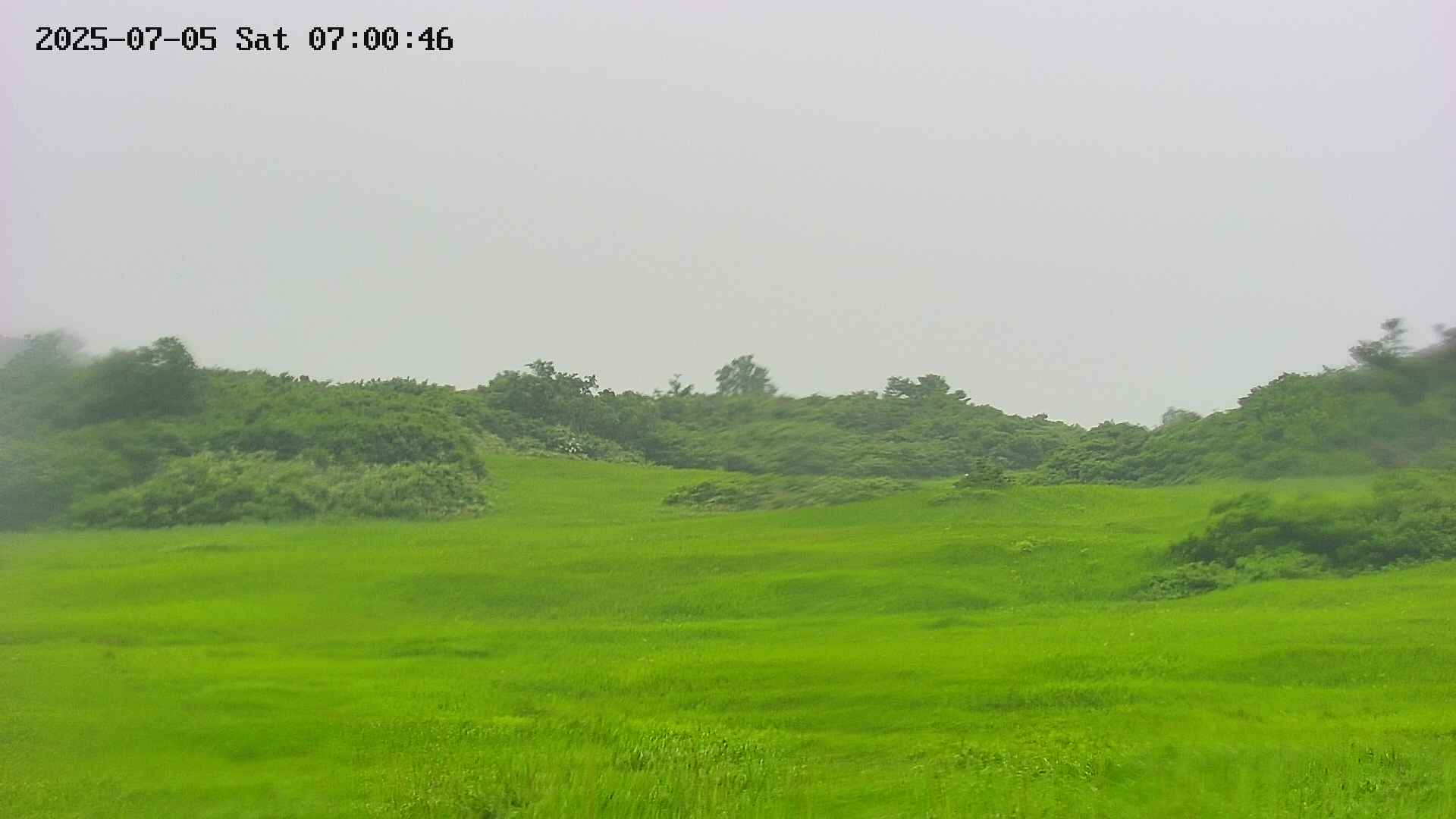 area3-20250705070046.jpg
