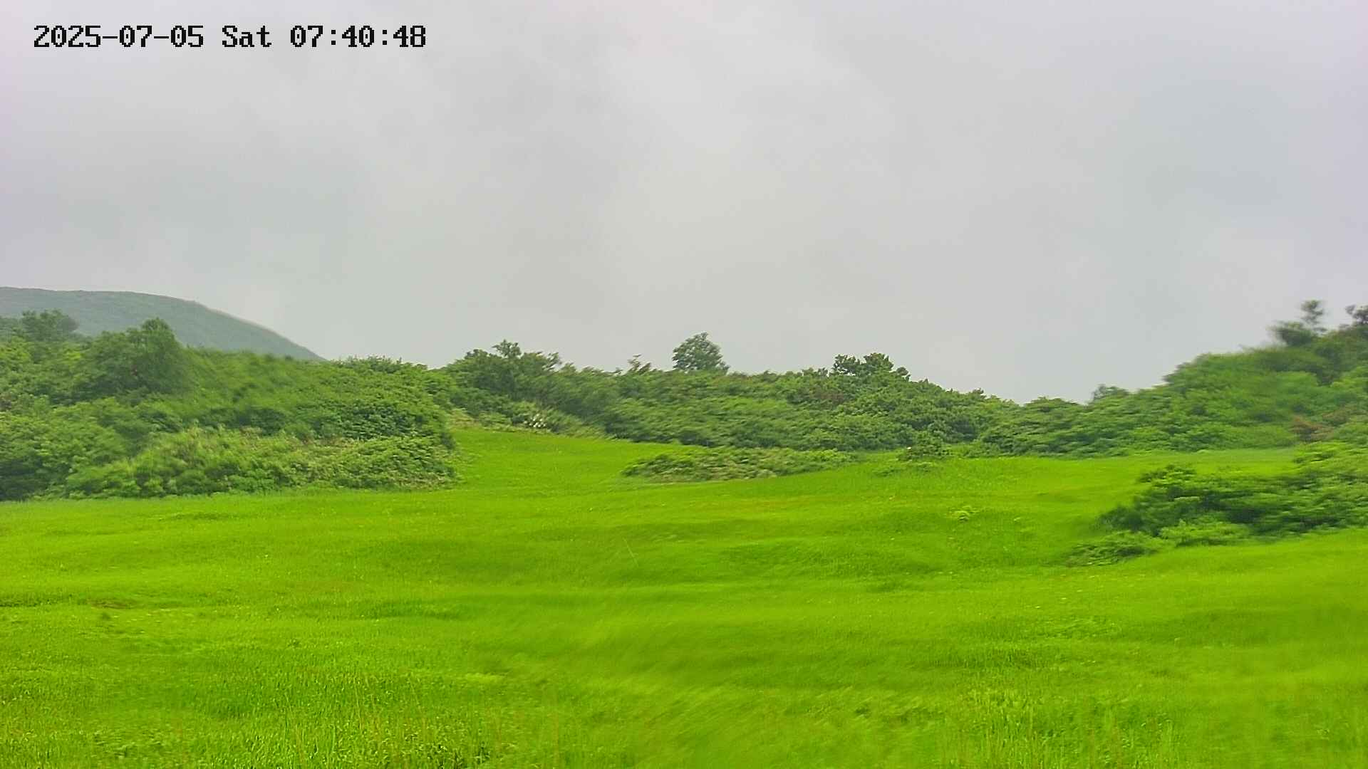 area3-20250705074049.jpg