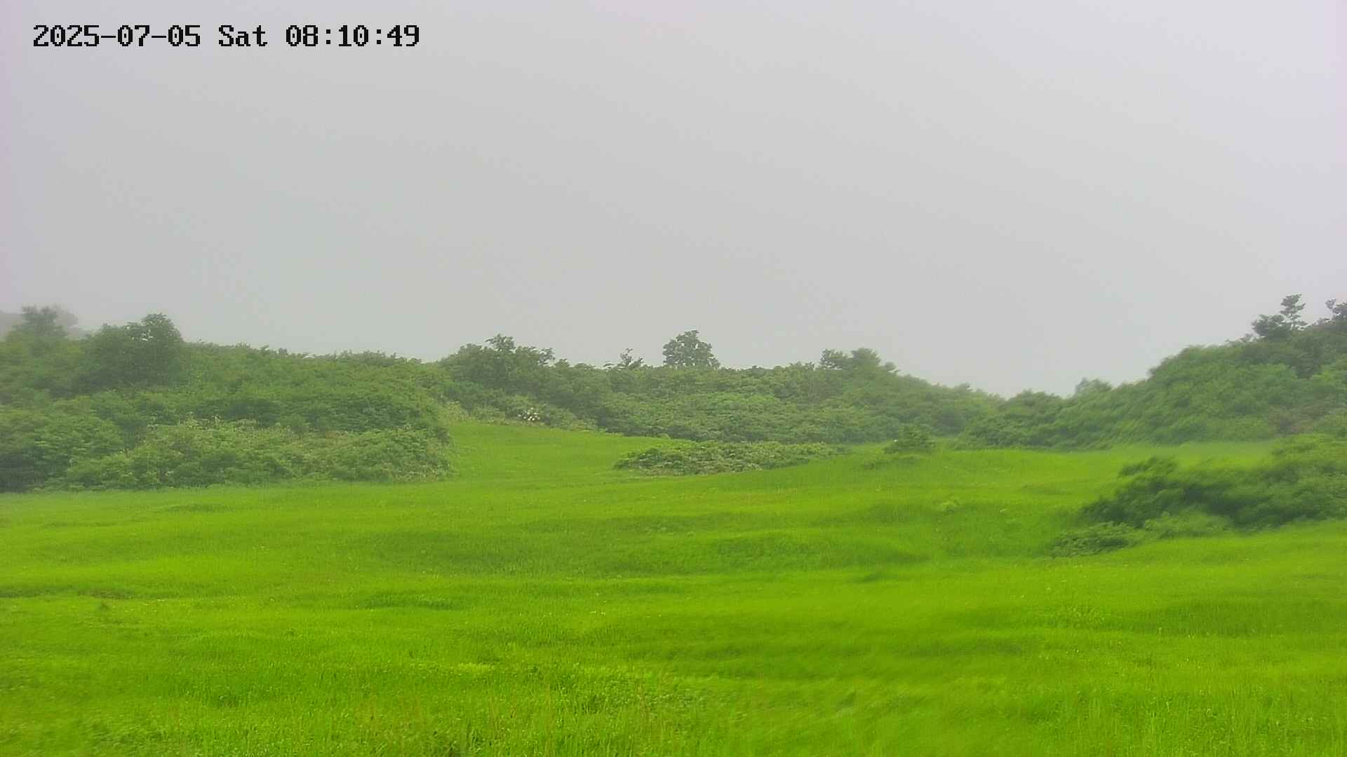 area3-20250705081050.jpg