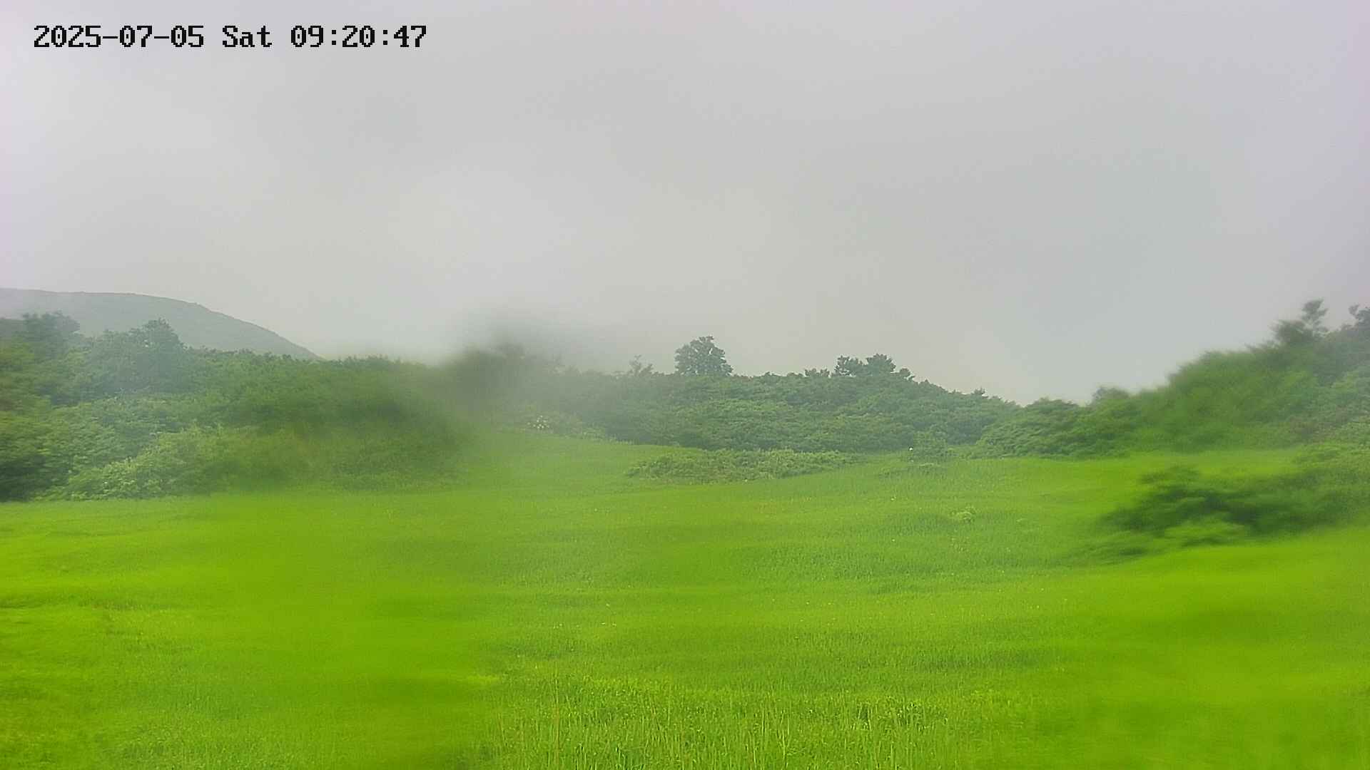 area3-20250705092048.jpg