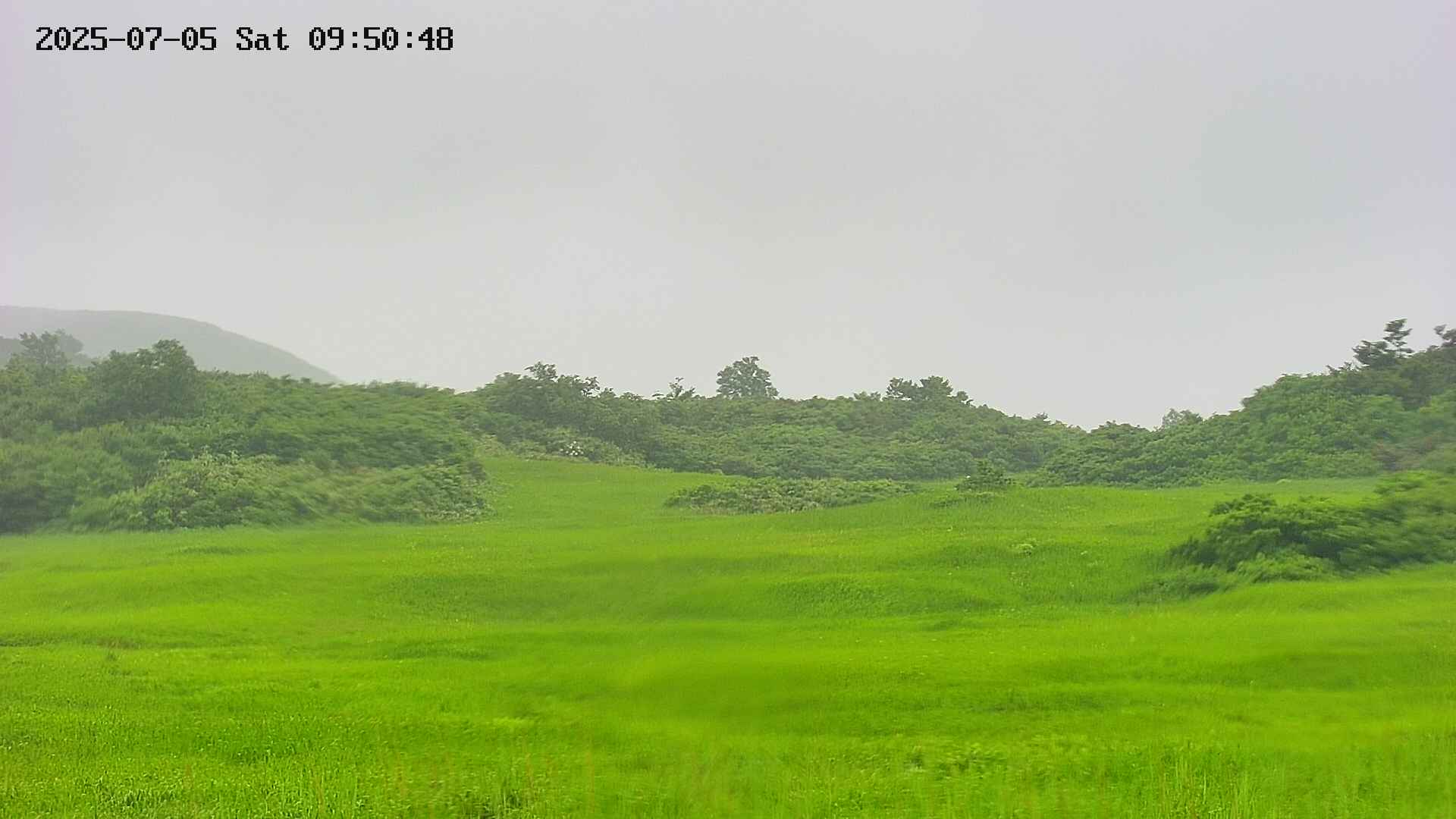 area3-20250705095049.jpg